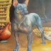 Mexico Xolo Dog Paint By Numbers