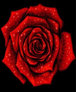 Red Artistic Rose Paint By Numbers