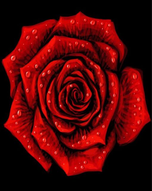 Red Artistic Rose Paint By Numbers