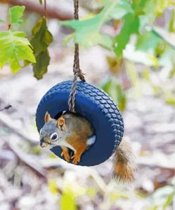 Squirrel Sitting In Tire Swing Paint By Numbers
