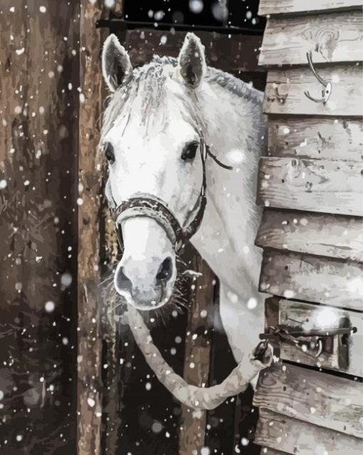 White Winter Horse Paint By Numbers