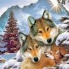 Winter Family Wolves Art Paint By Numbers