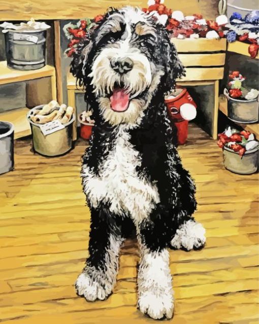 Bernedoodle Dog Art Paint By Numbers