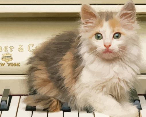 Cute Cat And Piano Paint By Numbers