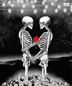 Black And White Skeleton Couple Paint By Numbers