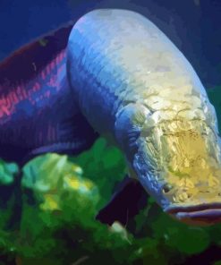 Giant Arapaima Fish Paint By Numbers