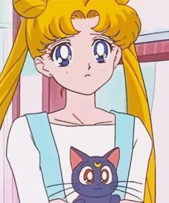 Luna And Sailor Moon Paint By Numbers