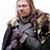 Ned Stark Paint By Numbers