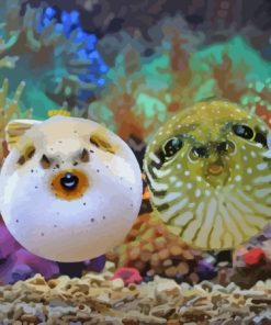 Puffer Fishes Paint By Numbers
