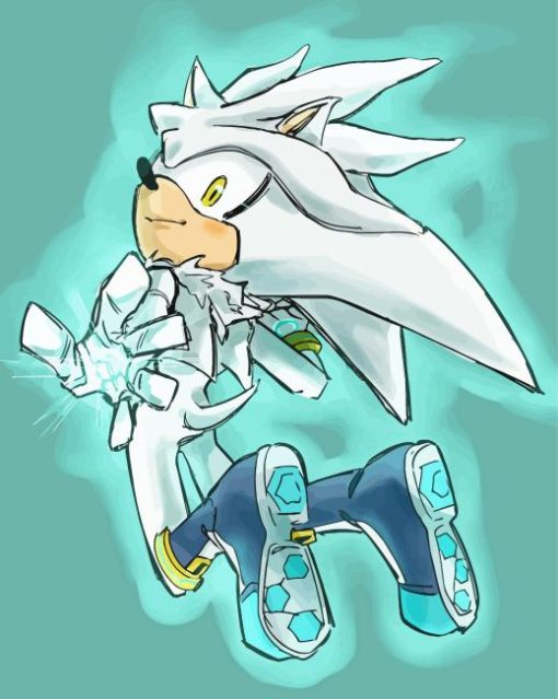 Silver The Hedgehog Anime Paint By Numbers