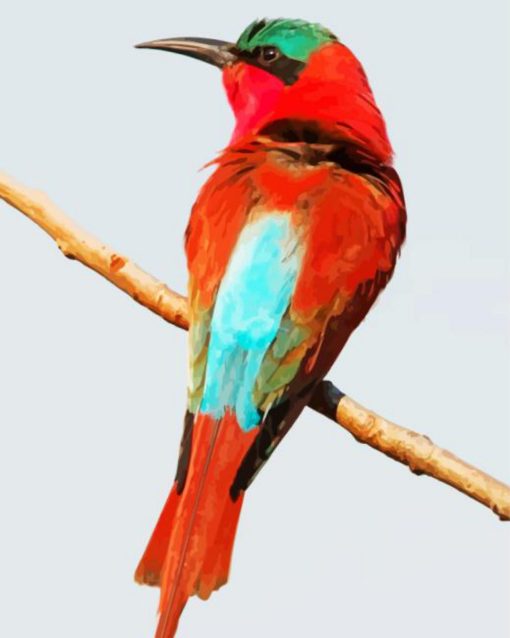 Southern Carmine Bee Eater Bird Back Paint By Numbers