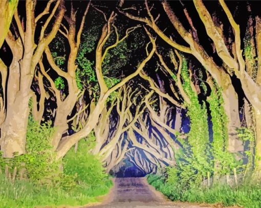 The Dark Hedges At Night Paint By Numbers