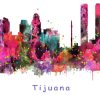 Tijuana Colorful Poster Paint By Numbers