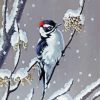 Winter Downy Woodpecker Paint By Numbers