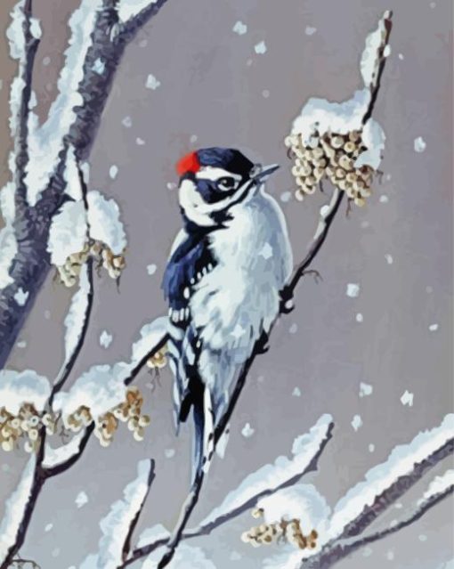 Winter Downy Woodpecker Paint By Numbers