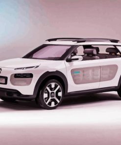 Citroen Cactus White Car Paint By Numbers