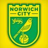 Fc Norwich City Logo Paint By Numbers