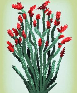 Vintage Ocotillo Plant Paint By Numbers