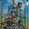 Wakanda Forever Poster Paint By Numbers