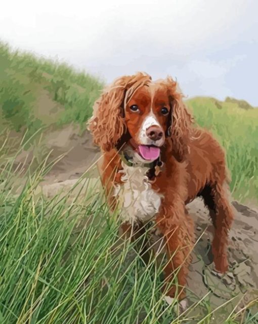 Working Spaniel Paint By Numbers