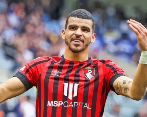 Afc Bournemouth Solanke Paint By Numbers