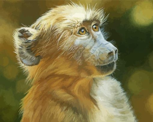 Baby Baboon Paint By Numbers