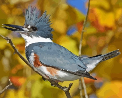 Belted Kingfisher Bird Paint By Numbers