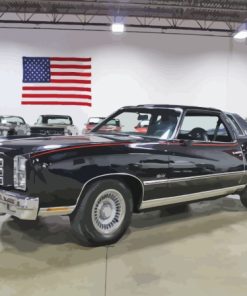 Black 76 Monte Carlo Paint By Numbers