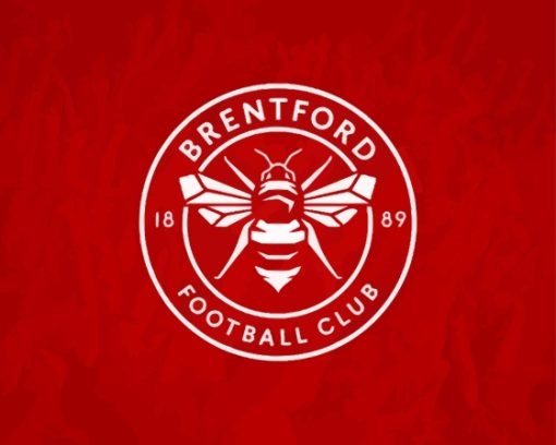 Brentford Football Logo Paint By Numbers