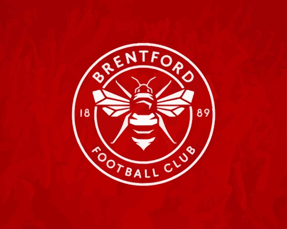 Brentford Football Logo Paint By Numbers