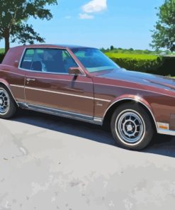 Brown Buick Riviera Paint By Numbers