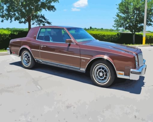 Brown Buick Riviera Paint By Numbers