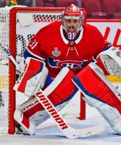 Carey Price Habs Team Player Paint By Numbers