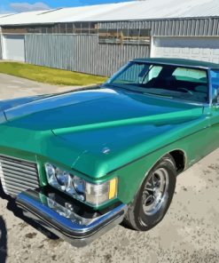Green Buick Riviera Car Paint By Numbers