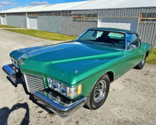 Green Buick Riviera Car Paint By Numbers