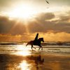 Horse Riding At Beach Silhouette Paint By Numbers