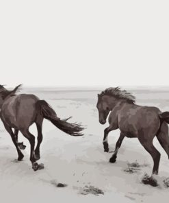Horses Running At The Beach Paint By Numbers
