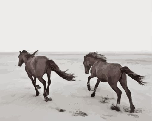 Horses Running At The Beach Paint By Numbers