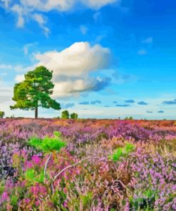 New Forest National Park Purple Heather Paint By Numbers