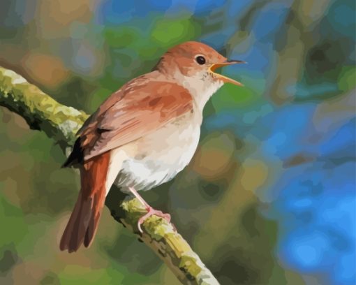 Nightingale Paint By Numbers