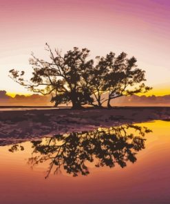 Nudgee Beach Sunset Paint By Numbers