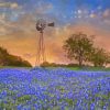 Texas Bluebonnet With Windmill Paint By Numbers