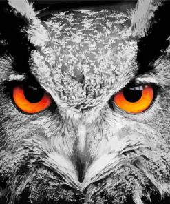 Black And White Owl With Orange Eyes Paint By Numbers
