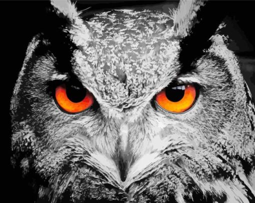 Black And White Owl With Orange Eyes Paint By Numbers