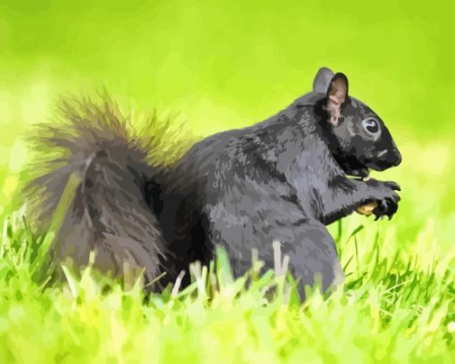 Black Squirrel Eating Walnut Paint By Numbers