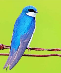 Blue Tree Swallow Bird Paint By Numbers