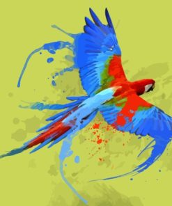Parrot Splash Paint By Numbers