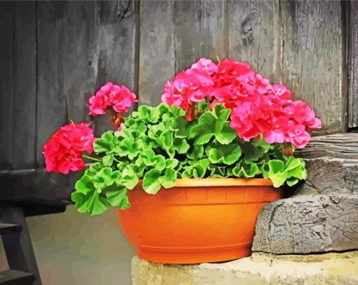 Pink Geraniums In Pot Paint By Numbers