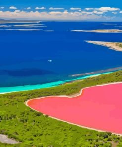 Pink Lake Hillier In Australia Paint By Numbers