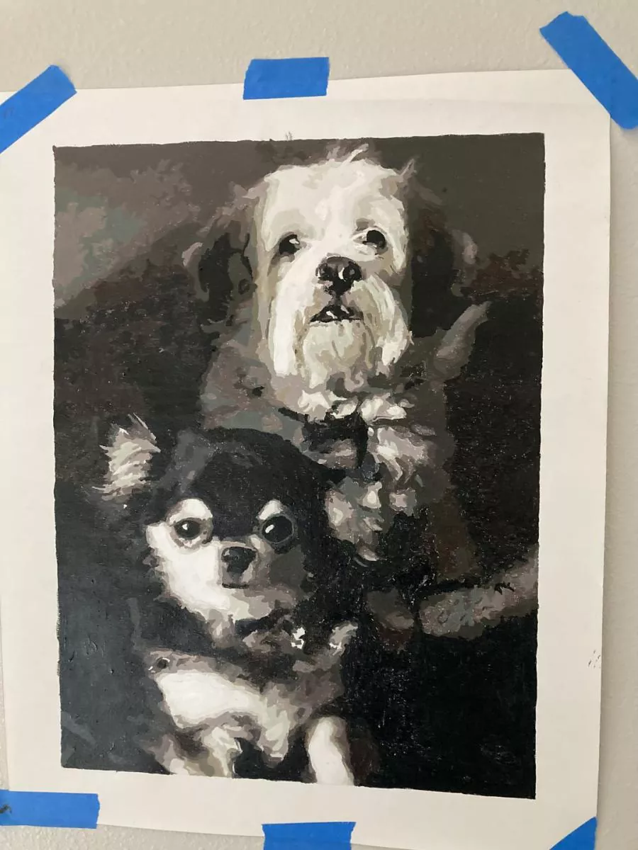 Custom Paint By Numbers​ Pets 1